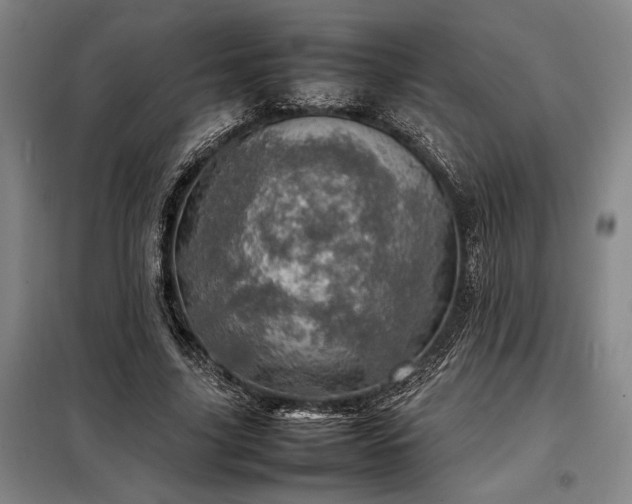 X0000098220635200805011235