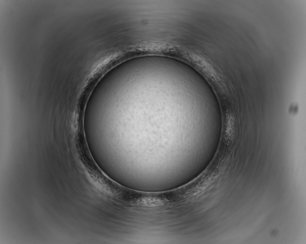 X0000098220636200805011235