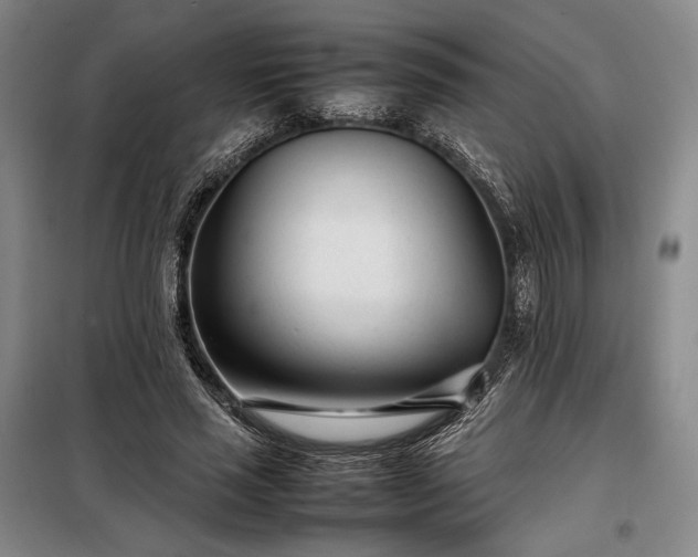 X0000098220637200805011235