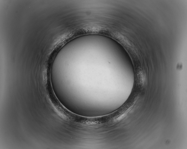 X0000098220638200805011235