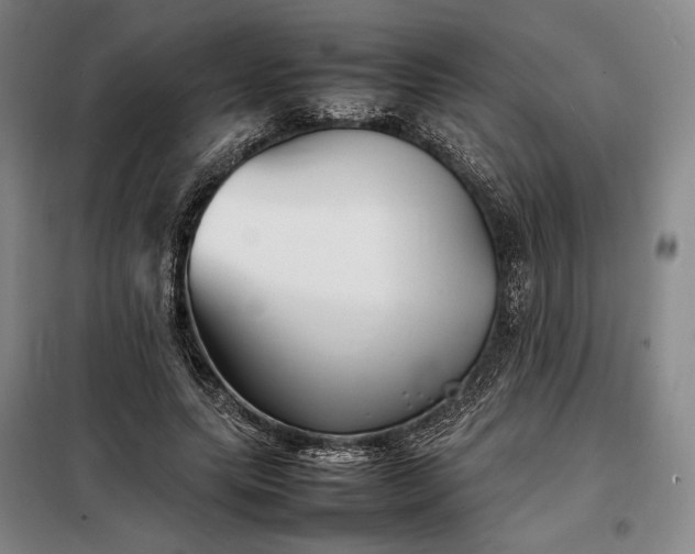 X0000098220639200805011235