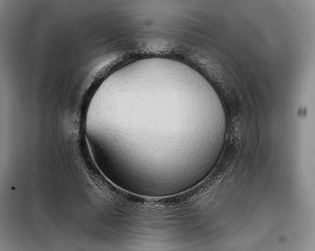 X0000098220640200805011235