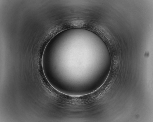 X0000098220641200805011235