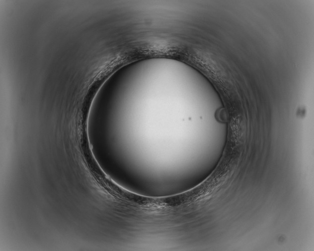 X0000098220642200805011235