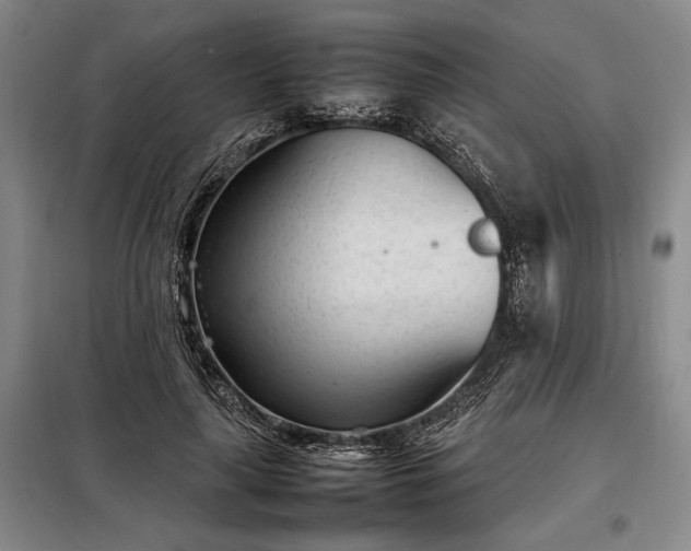 X0000098220643200805011235