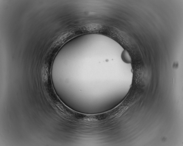 X0000098220644200805011235