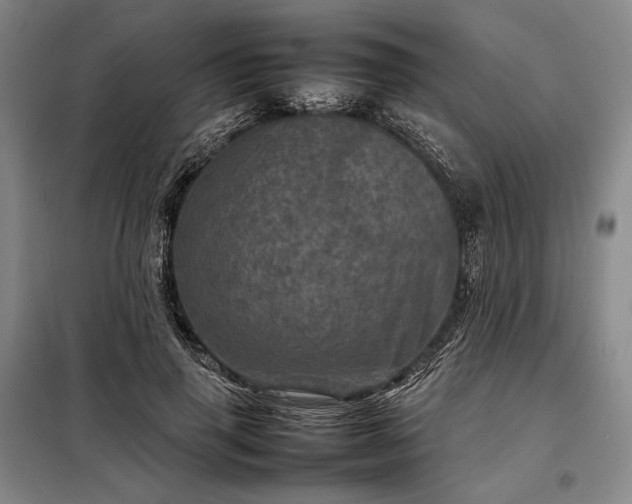 X0000098220645200805011235