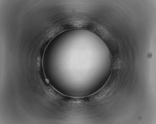 X0000098220646200805011235