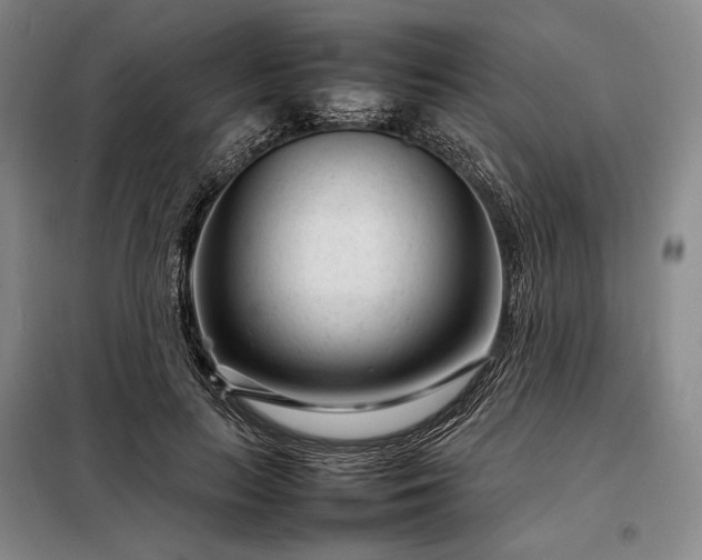 X0000098220647200805011235