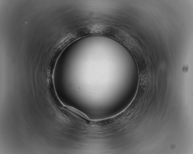 X0000098220648200805011235