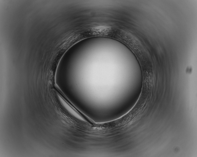 X0000098220649200805011235