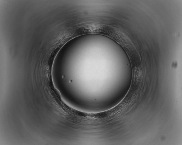 X0000098220650200805011235