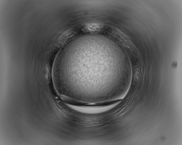 X0000098220651200805011235