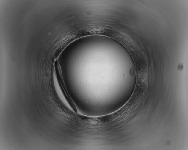 X0000098220652200805011235