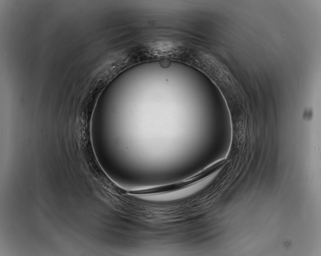 X0000098220653200805011235