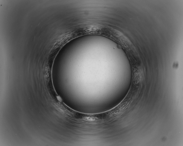 X0000098220654200805011235