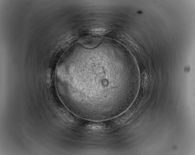 X0000098220655200805011235