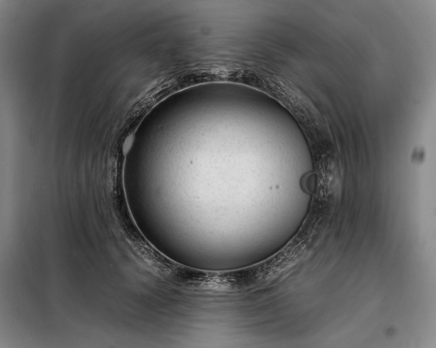 X0000098220656200805011235