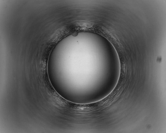 X0000098220657200805011235