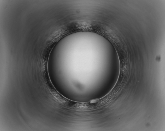 X0000098220658200805011235