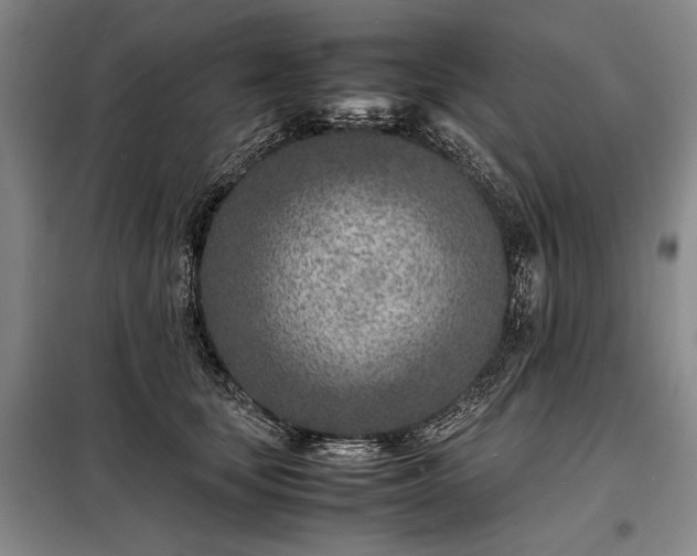 X0000098220659200805011235