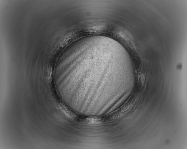 X0000098220660200805011235