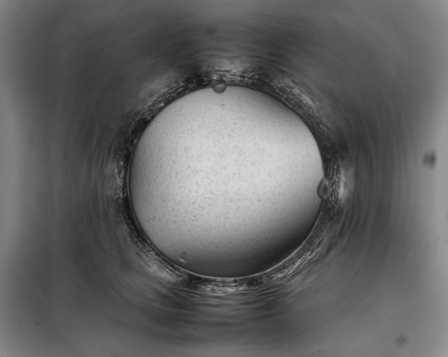 X0000098220661200805011235