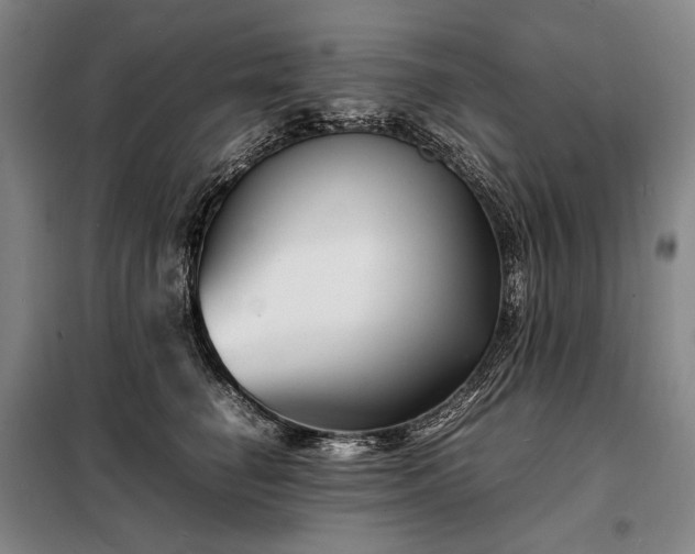 X0000098220662200805011235