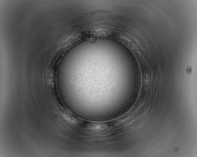 X0000098220663200805011235