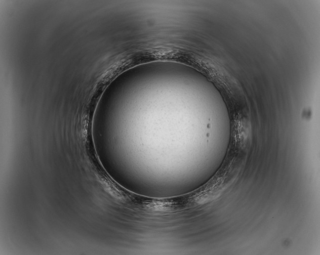 X0000098220664200805011235