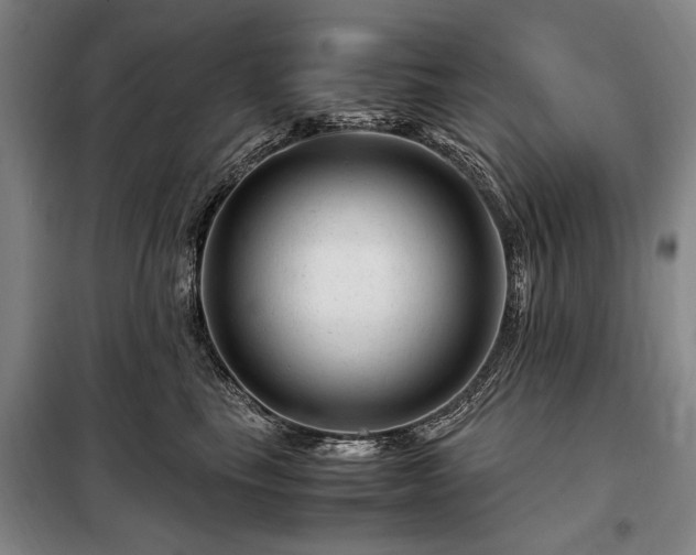 X0000098220665200805011235