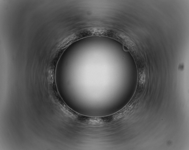 X0000098220666200805011235