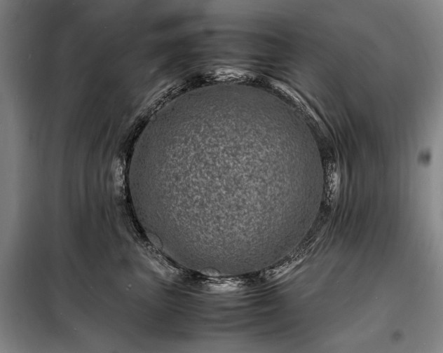 X0000098220667200805011235