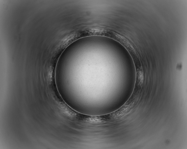 X0000098220668200805011235