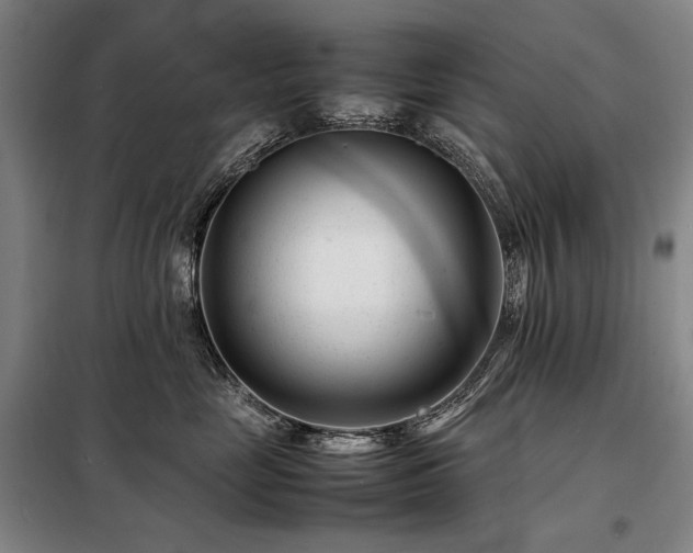 X0000098220669200805011236