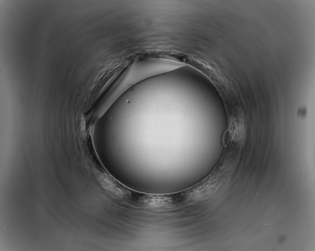 X0000098220670200805011236