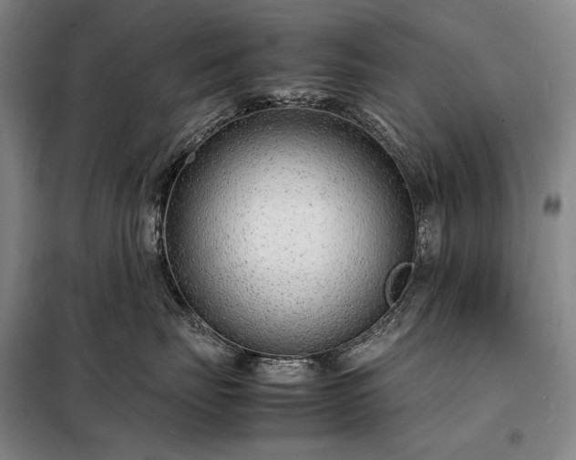 X0000098220671200805011236