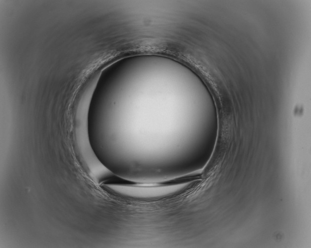 X0000098220673200805011235