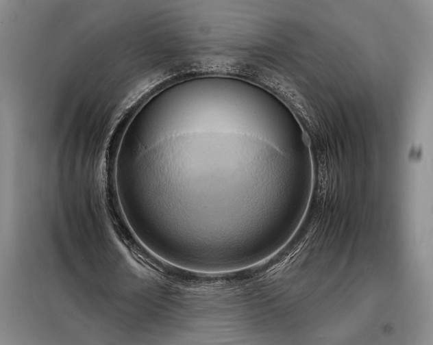 X0000098220674200805011235