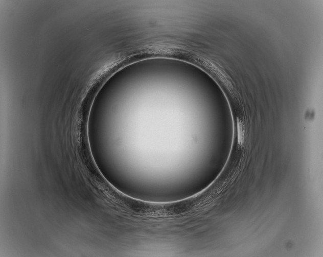 X0000098220675200805011235