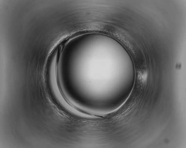 X0000098220676200805011235