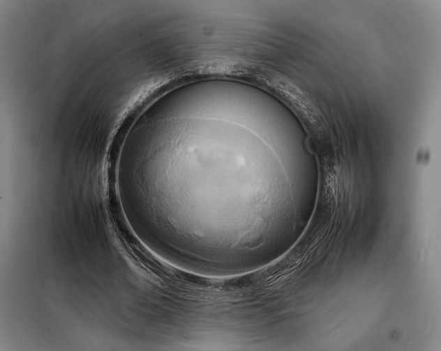 X0000098220678200805011235