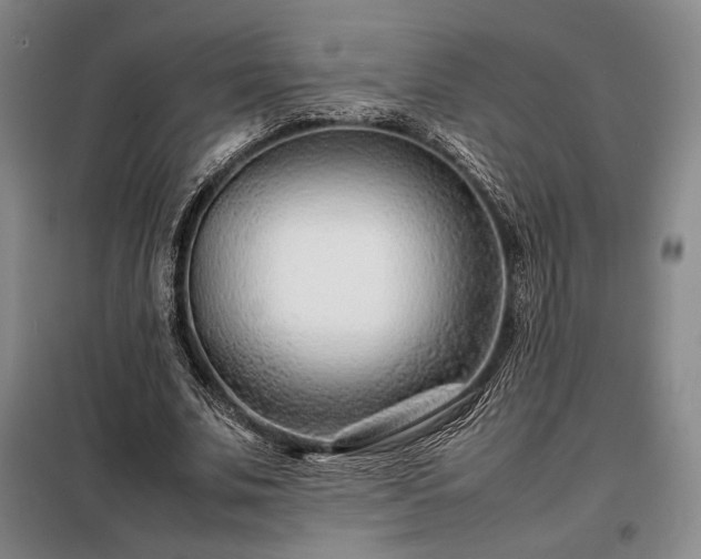 X0000098220679200805011235