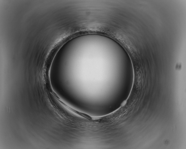 X0000098220680200805011235