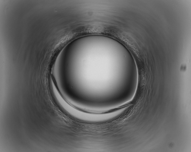 X0000098220681200805011235