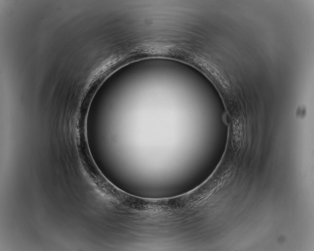 X0000098220682200805011235