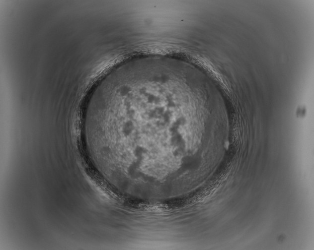 X0000098220683200805011235