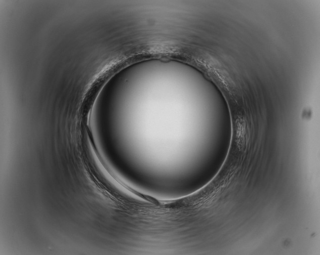 X0000098220684200805011235