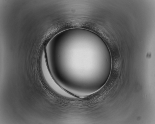 X0000098220685200805011235