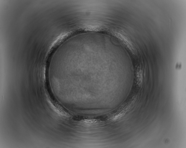 X0000098220686200805011235